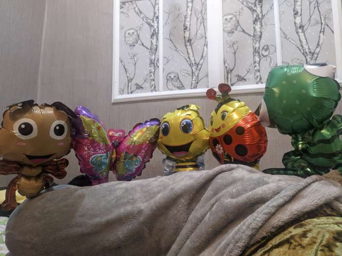 Фотография покупателя товара Гирлянда из фольгированных шаров 38" «Весёлые насекомые», 96 см - Фото 1