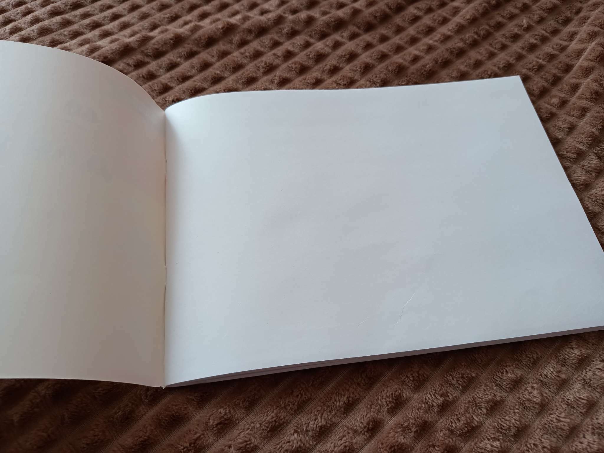 Фотография покупателя товара Альбом для рисования А4, 40 листов на скрепке Calligrata, обложка мелованный картон, внутренний блок офсет 100 г/м²