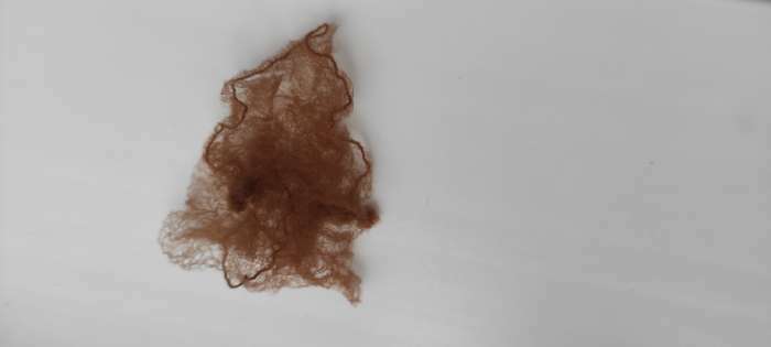 Фотография покупателя товара Сетка для волос Grace Dance, паутинка, 30 см, цвет коричневый - Фото 1
