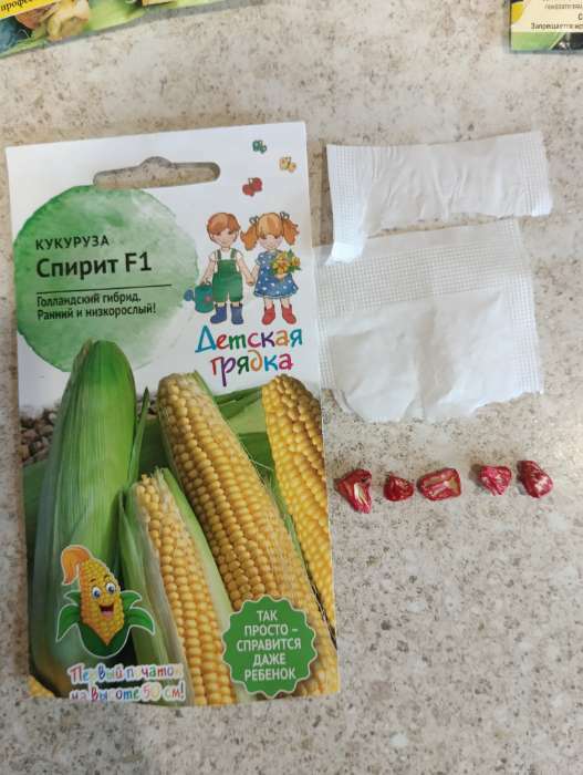 Фотография покупателя товара Семена Кукуруза "Спирит", "Детская грядка",10 шт - Фото 2