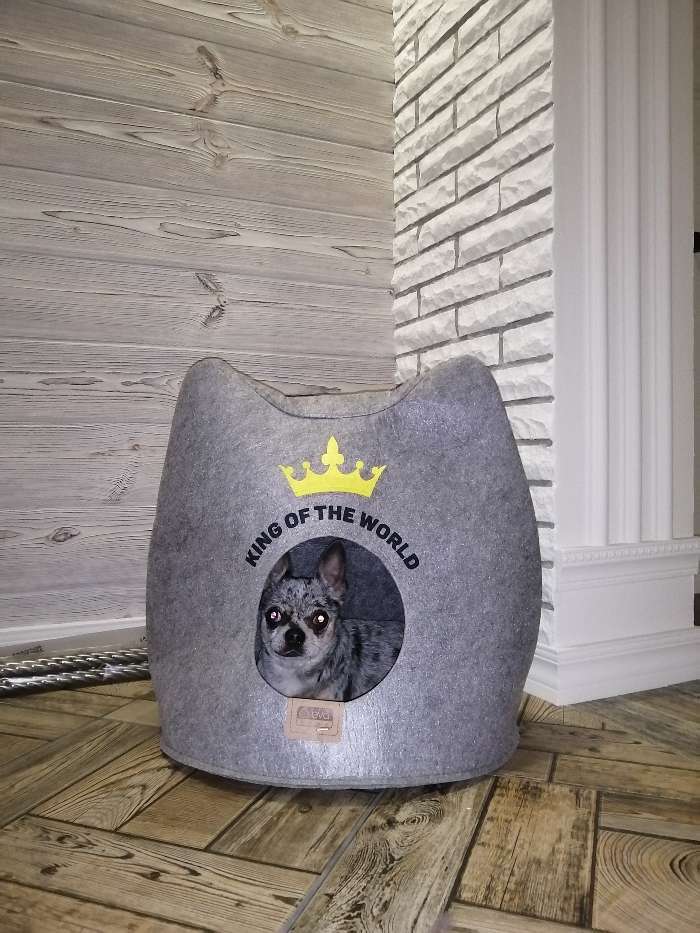 Фотография покупателя товара Домик для животных из войлока "Ушастик королевский", 46 х 46 х 43 см