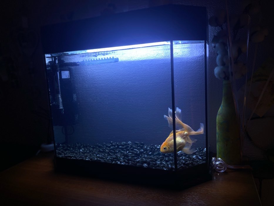 Фотография покупателя товара Светильник подводный, BARBUS LED 026, 40 см, 7,2 Вт, белый - Фото 1