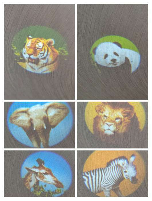 Фотография покупателя товара Проектор-фонарик «Команда Мяу: Изучаем животных» - Фото 4