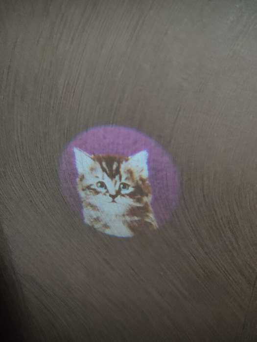 Фотография покупателя товара Проектор-фонарик «Команда Мяу: Изучаем животных» - Фото 2