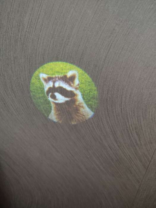 Фотография покупателя товара Проектор-фонарик «Команда Мяу: Изучаем животных» - Фото 5