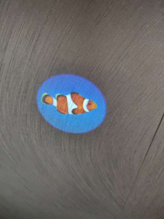 Фотография покупателя товара Проектор-фонарик «Команда Мяу: Изучаем животных» - Фото 3