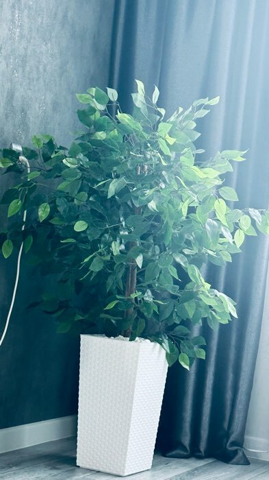 Фотография покупателя товара Дерево искусственное «Плюмерия», h=90 см - Фото 1