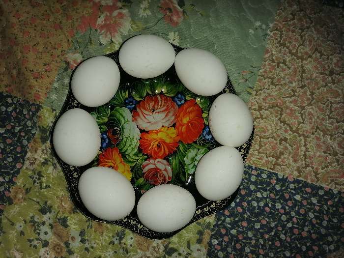 Фотография покупателя товара Подставка стеклянная для яиц Доляна «Христос воскресе», 8 ячеек, 22×22 см - Фото 1