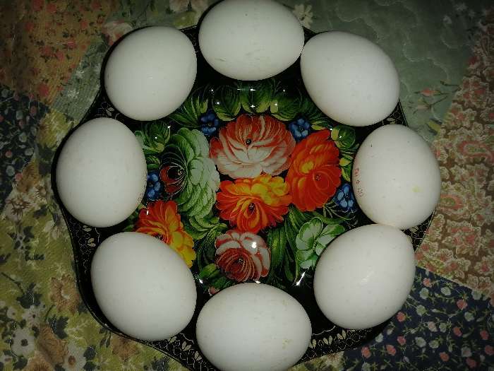Фотография покупателя товара Подставка стеклянная для яиц Доляна «Христос воскресе», 8 ячеек, 22×22 см - Фото 2