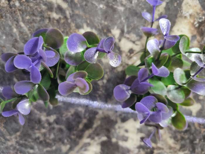 Фотография покупателя товара Растение искусственное аквариумное кустовое, 10 см, фиолетовое - Фото 9