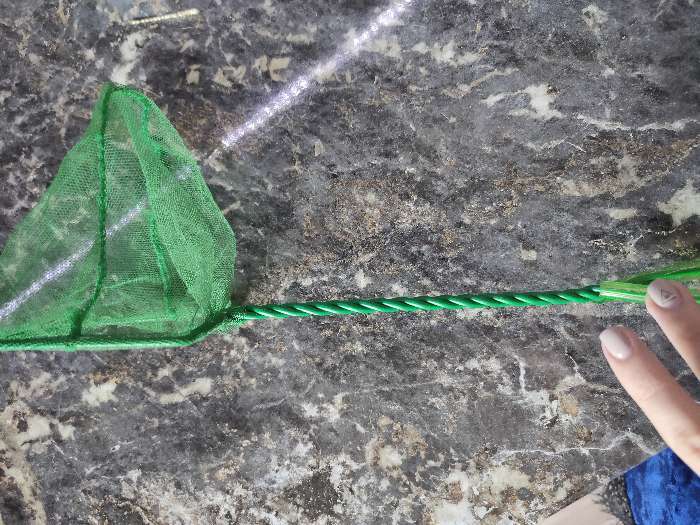 Фотография покупателя товара Сачок аквариумный 10 см, зелёный