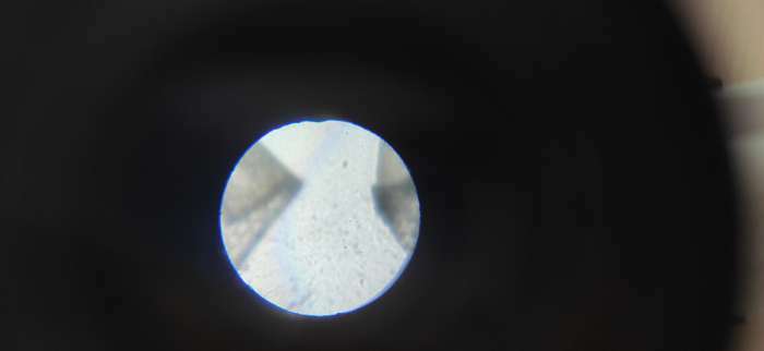 Фотография покупателя товара Микроскоп «Юный биолог», увеличение х80, х200, х450, с подсветкой