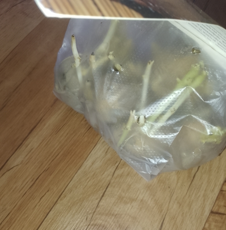 Фотография покупателя товара Семенной картофель "Великан", светло-желтая мякоть, разбор 28/55, среднеспелый, Весна 2026 - Фото 9