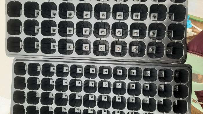 Фотография покупателя товара Кассета для рассады, на 50 ячеек, по 70 мл, из пластика, чёрная, 56 × 29.5 × 4 см, Greengo
