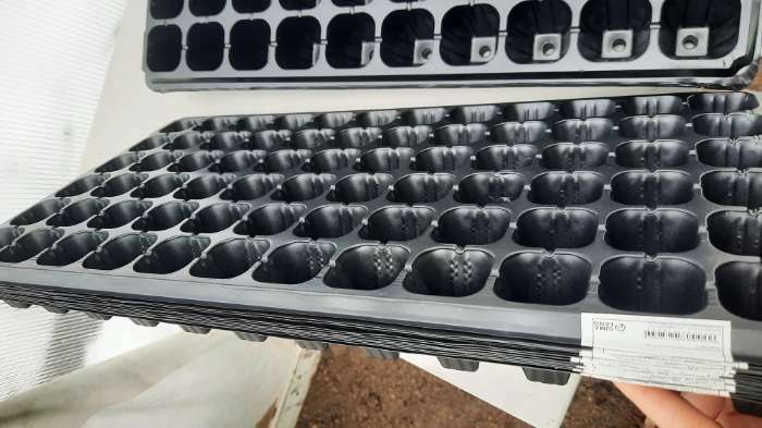 Фотография покупателя товара Кассета для рассады, на 50 ячеек, по 70 мл, из пластика, чёрная, 56 × 29.5 × 4 см, Greengo