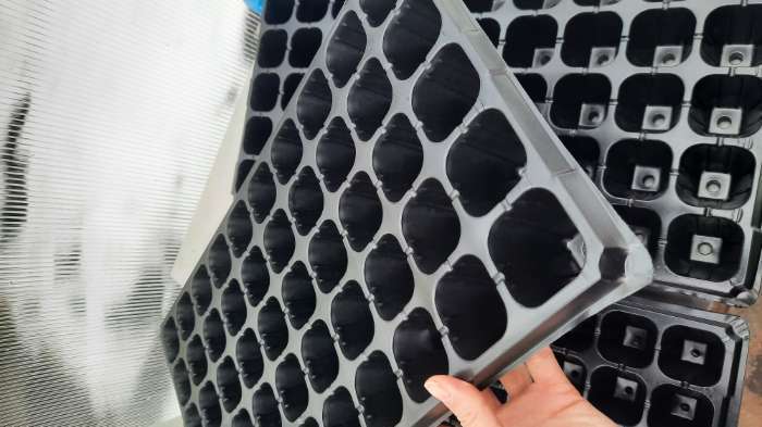 Фотография покупателя товара Кассета для рассады, на 50 ячеек, по 70 мл, из пластика, чёрная, 56 × 29.5 × 4 см, Greengo - Фото 3