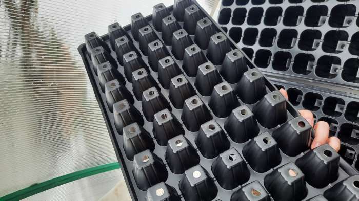 Фотография покупателя товара Кассета для рассады, на 72 ячейки, по 50 мл, из пластика, чёрная, 54 × 28 × 4 см, Greengo - Фото 3