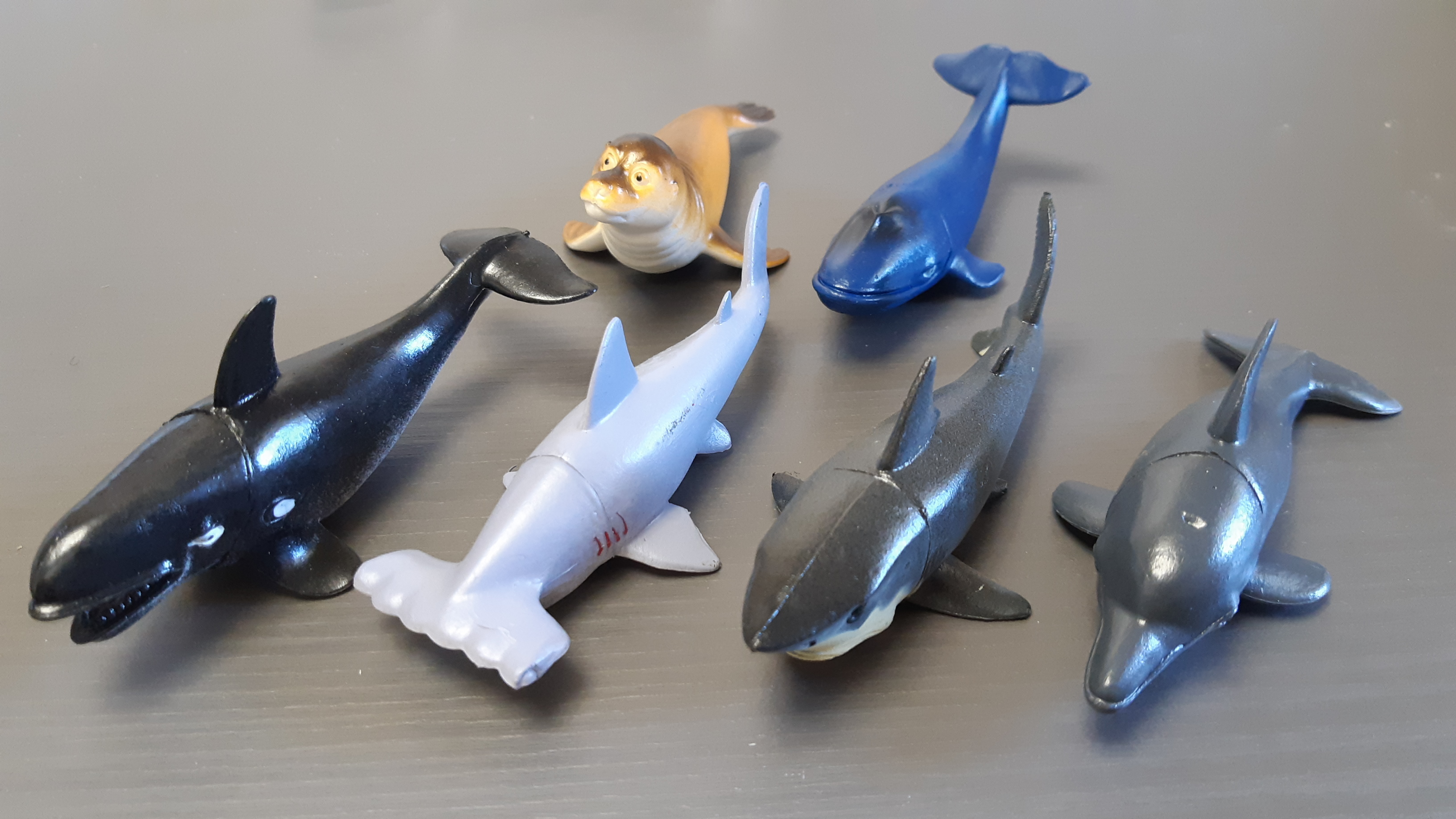 Фотография покупателя товара Набор морских животных «Подводный мир», 6 фигурок - Фото 2