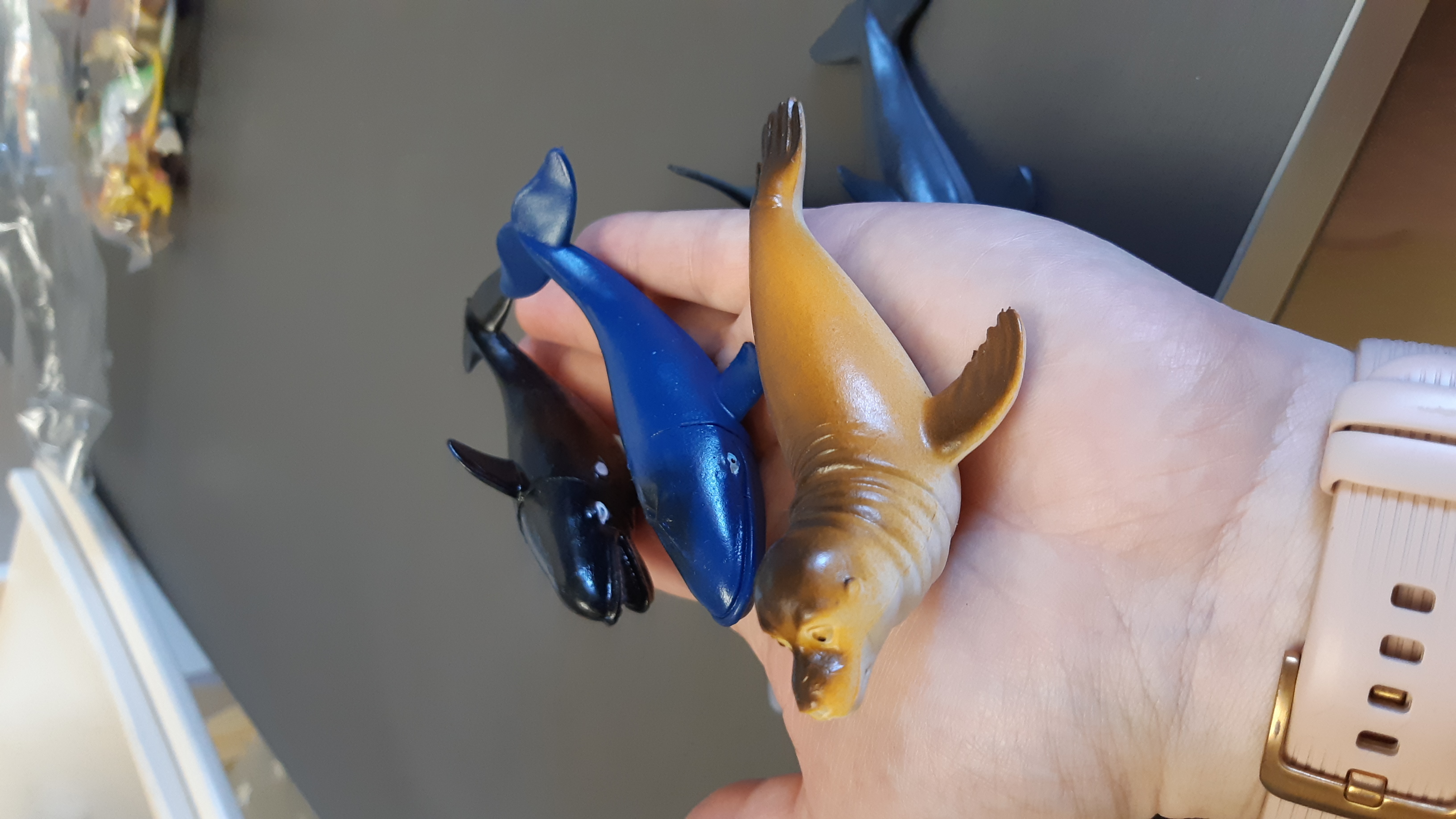 Фотография покупателя товара Набор морских животных «Подводный мир», 6 фигурок - Фото 1