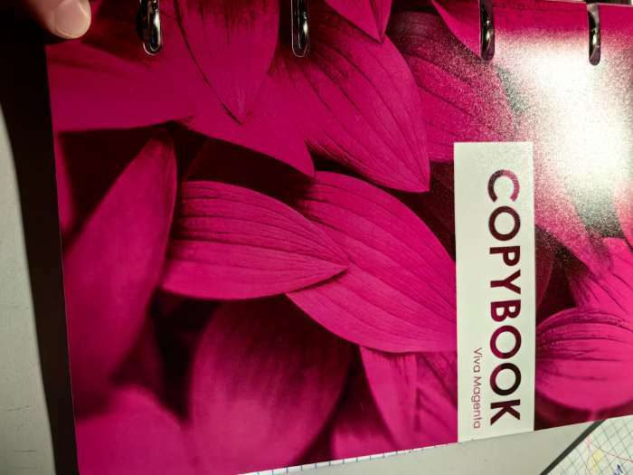 Фотография покупателя товара Тетрадь на кольцах A5 80 листов в клетку Calligrata "CoopyBook. VivaMagenta", пластиковая обложка, блок офсет - Фото 1