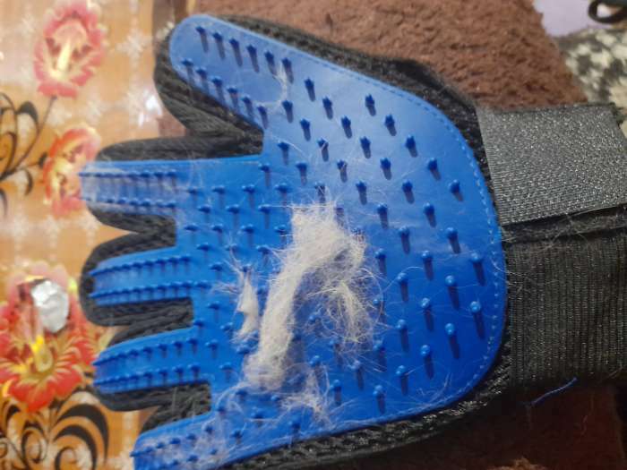 Фотография покупателя товара Перчатка - щетка для шерсти на правую руку с удлиненными зубчиками, синяя - Фото 26