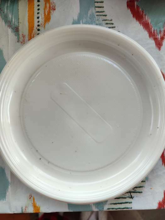 Фотография покупателя товара Тарелка пластиковая одноразовая «Экстра», d=20,5 см, цвет белый - Фото 11