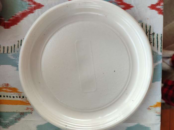 Фотография покупателя товара Тарелка пластиковая одноразовая «Экстра», d=20,5 см, цвет белый - Фото 9