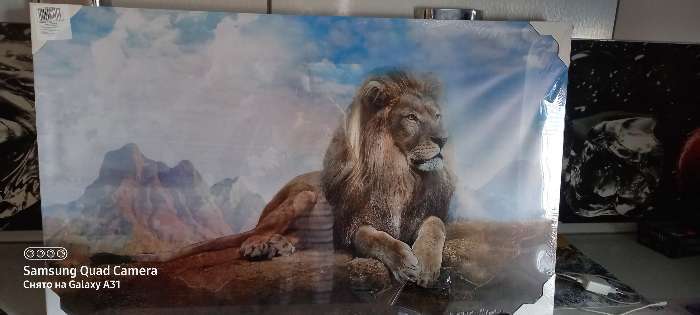 Фотография покупателя товара Картина на холсте "Король лев" 60*100 см - Фото 2