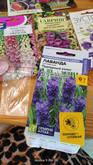 Фотография покупателя товара Семена цветов Лаванда "Пурпурный колос", узколистная, Сем. Алт, ц/п, 5 шт - Фото 20