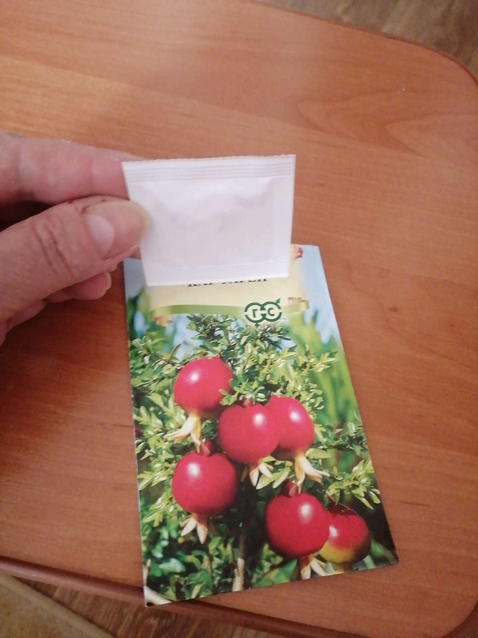 Фотография покупателя товара Семена комнатных цветов Гранат «Карфаген», 5 шт., «Гавриш» - Фото 1