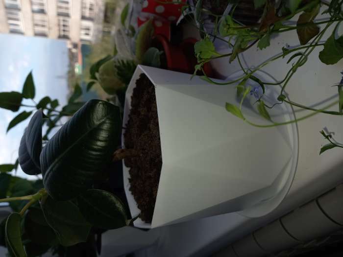 Фотография покупателя товара Горшок для цветов с поддоном «Призма», 1 л, цвет белый