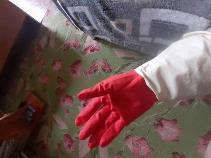Фотография покупателя товара Перчатки хозяйственные плотные Доляна, латекс, размер L, 50 г, цвет красный - Фото 2