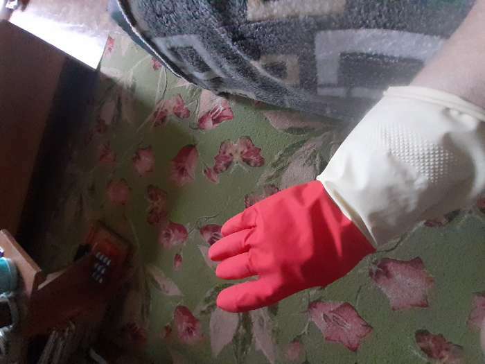 Фотография покупателя товара Перчатки хозяйственные плотные Доляна, латекс, размер M, 47 г, цвет красный - Фото 1