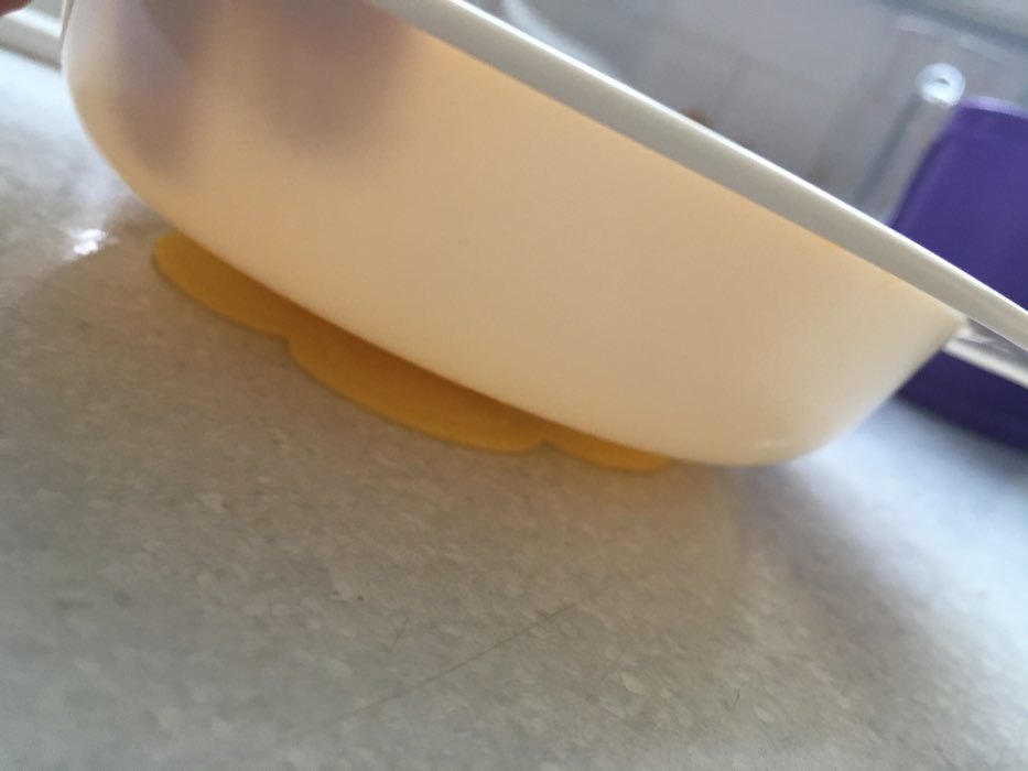 Фотография покупателя товара Присоска силиконовая для тарелок, цвет МИКС