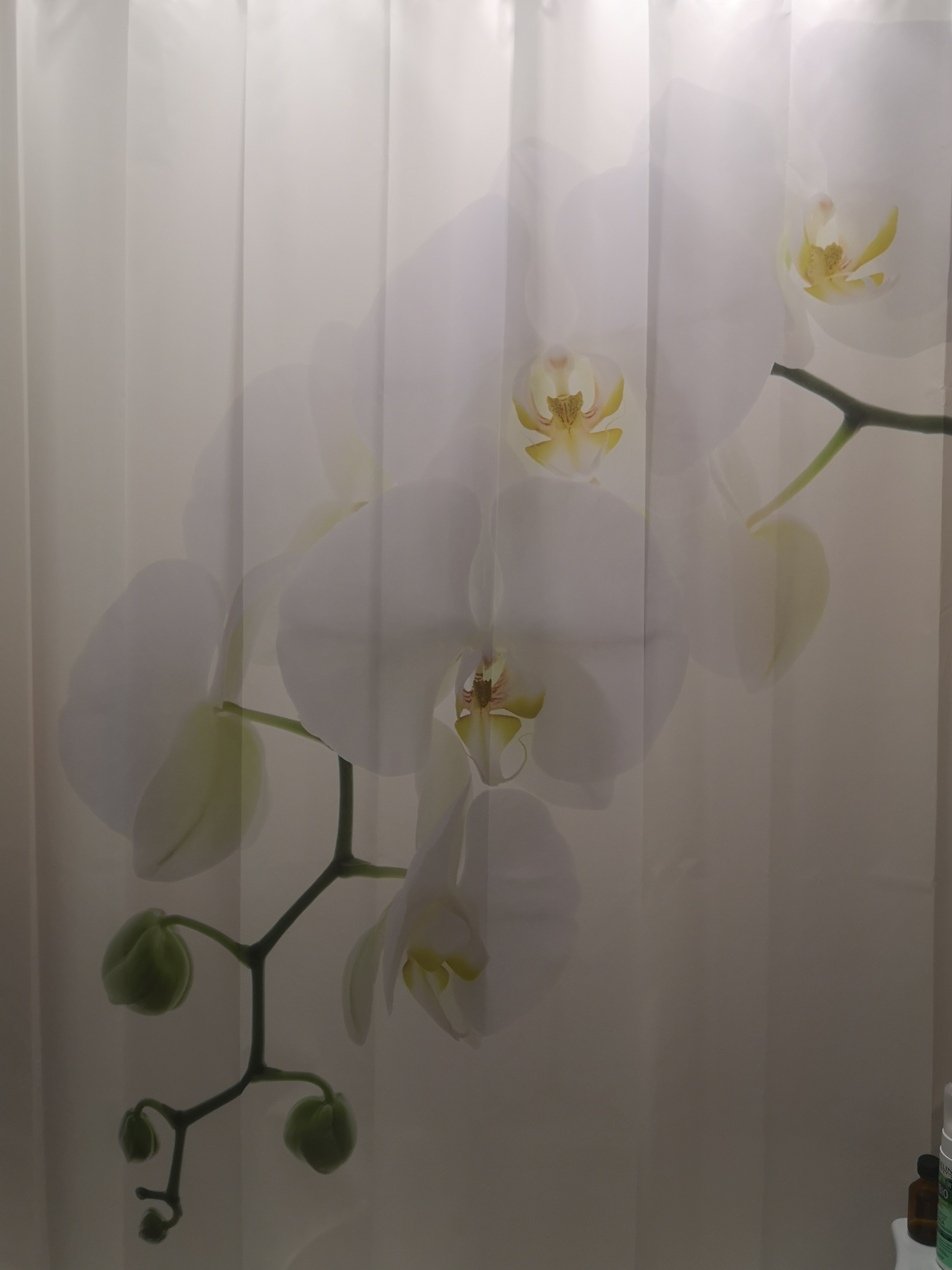 Фотография покупателя товара Штора для ванной комнаты Orchidea, 180х200 см - Фото 1