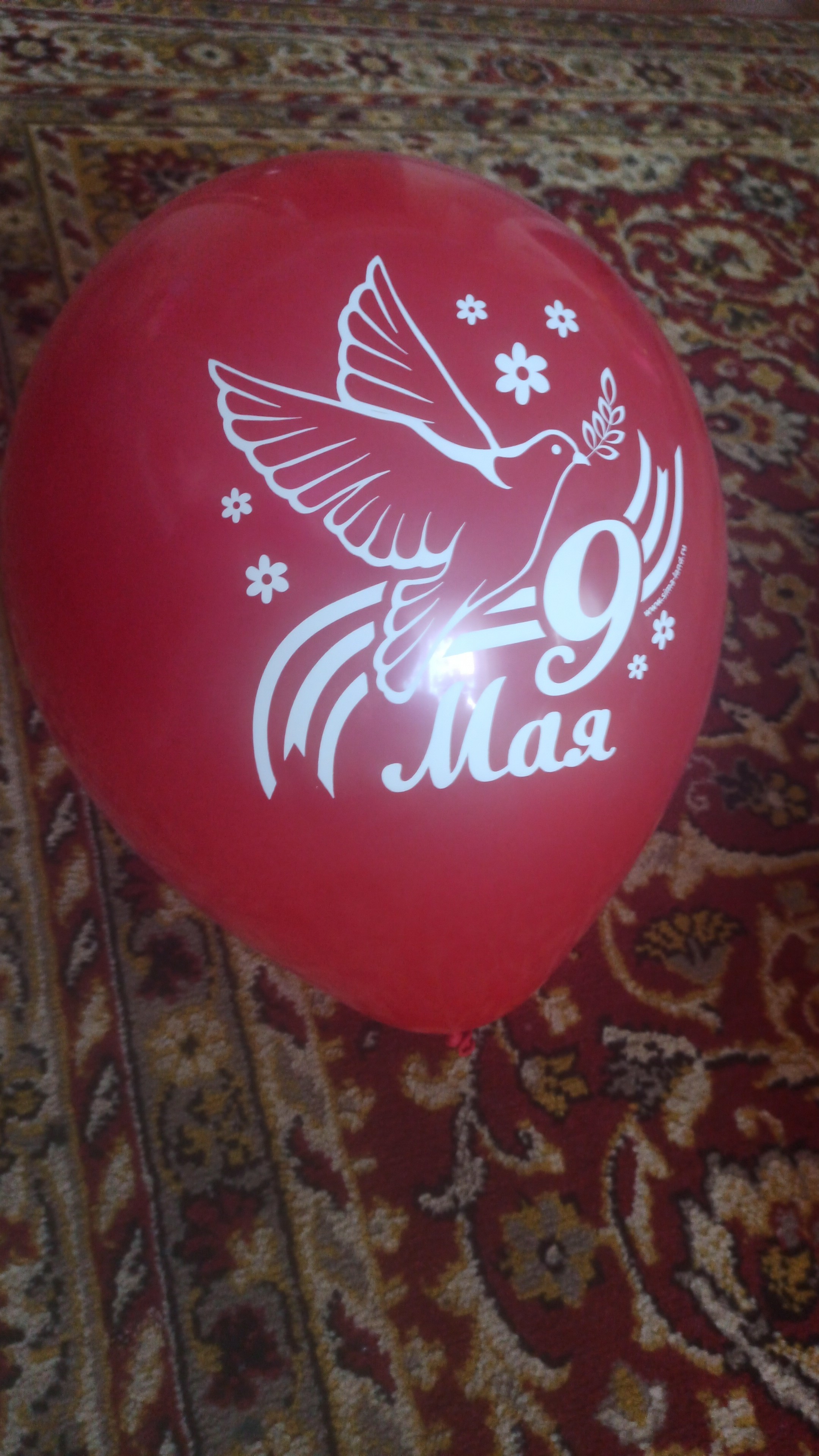 Фотография покупателя товара Набор воздушных шаров 12" «9 Мая», голубь, 50 шт. - Фото 10