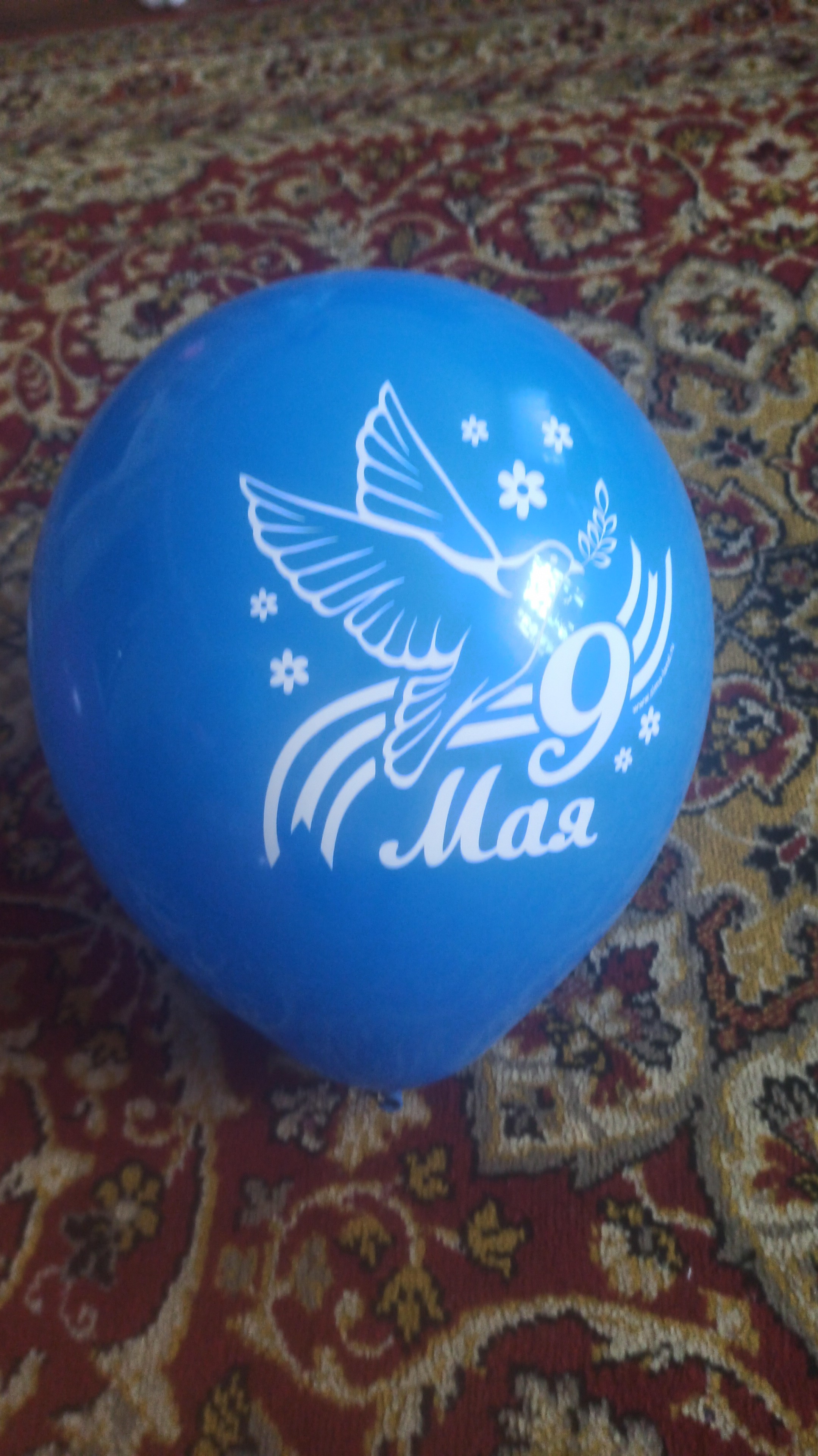 Фотография покупателя товара Набор воздушных шаров 12" «9 Мая», голубь, 50 шт. - Фото 6