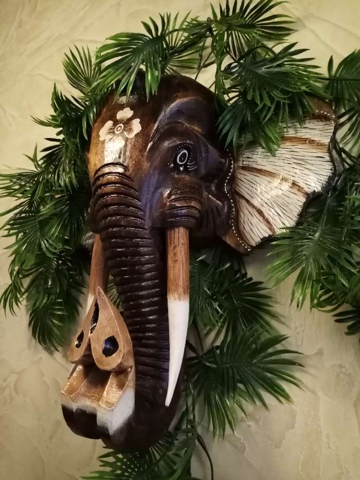 Фотография покупателя товара Сувенир дерево "Голова слона" 40 см - Фото 1