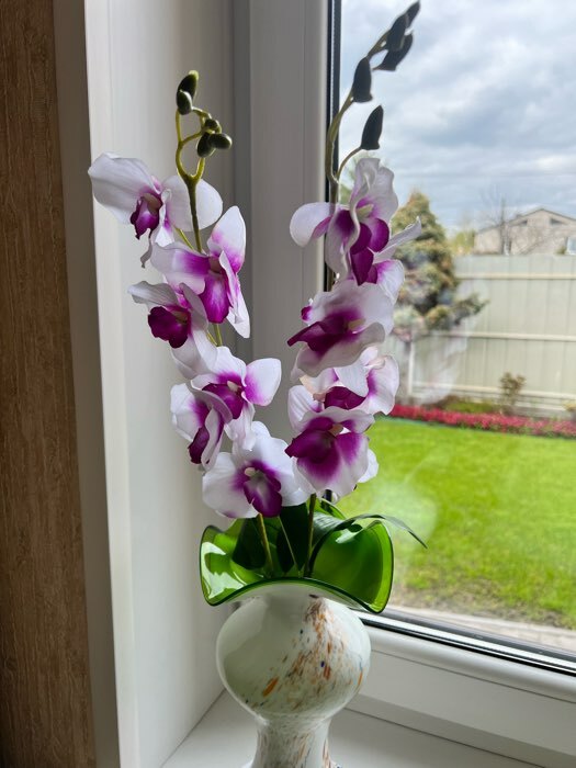 Фотография покупателя товара Цветы искусственные "Орхидея пышность" 60 см, белый - Фото 1