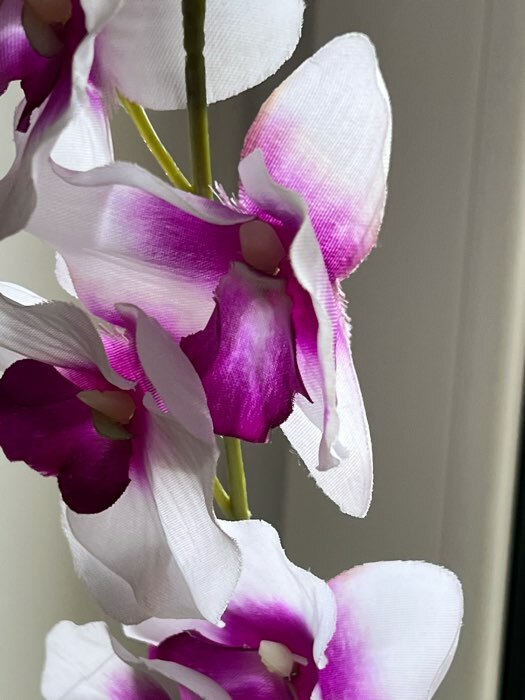 Фотография покупателя товара Цветы искусственные "Орхидея пышность" 60 см, белый