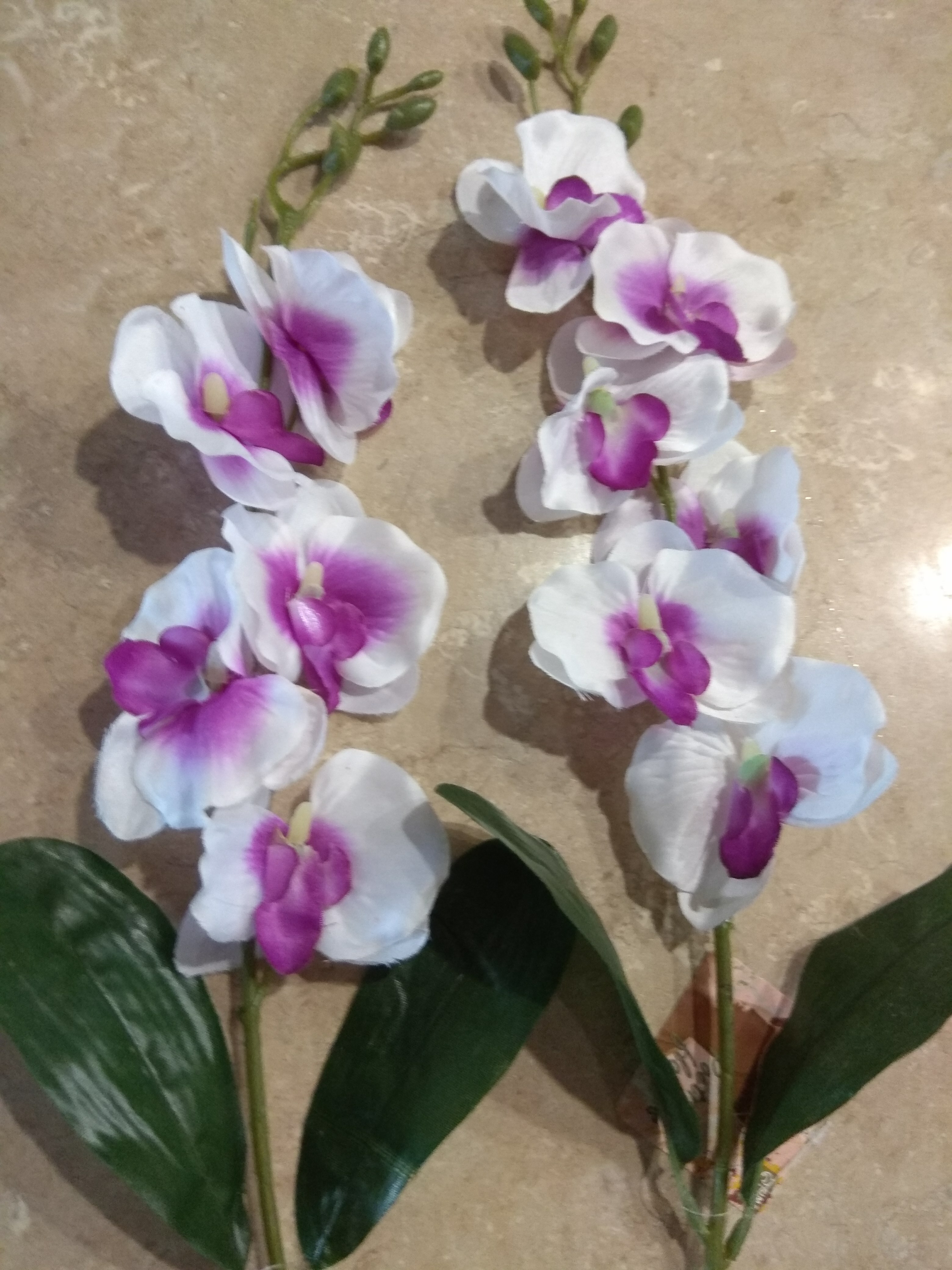 Фотография покупателя товара Цветы искусственные "Орхидея пышность" 60 см, белый
