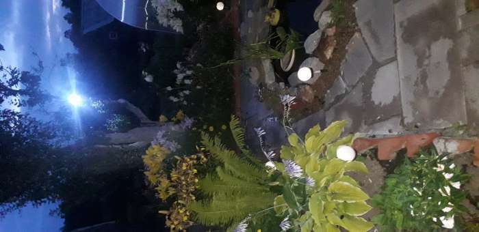 Фотография покупателя товара Садовый светильник на солнечной батарее «Малый шар», 10 × 32 × 10 см, 1 LED, свечение тёплое белое - Фото 9