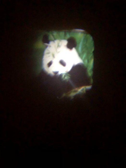Фотография покупателя товара Проектор-фонарик «Микки Маус», световые эффекты, батарейки в набор не входят
