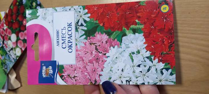 Фотография покупателя товара Семена цветов Лихнис, Смесь окрасок, 0,1г