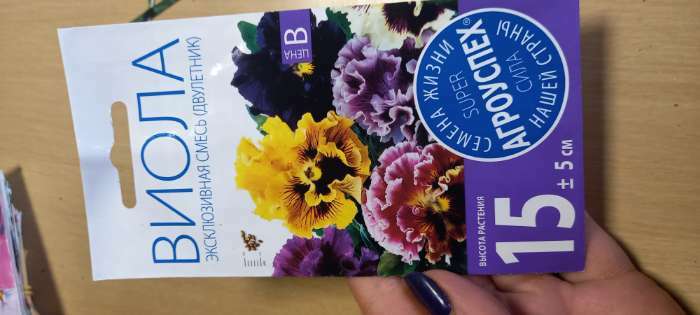 Фотография покупателя товара Семена цветов Виола "Эксклюзивная смесь", 0,1 г