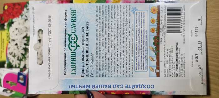 Фотография покупателя товара Семена цветов Примула "Эрфуртские великаны", ц/п, серия Устойчив к заморозкам, 20 шт - Фото 3