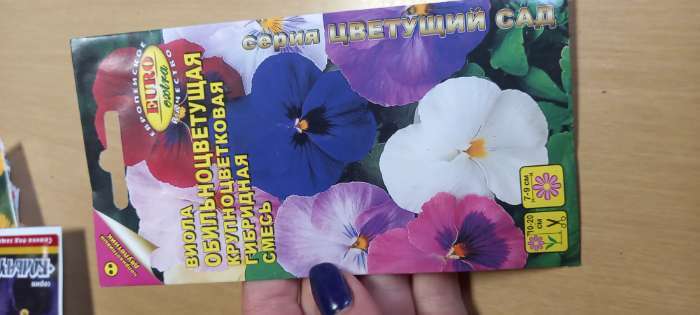 Фотография покупателя товара Семена цветов Виола "Обильноцветущая", cерия "Цветущий сад", F1, 0,1 г - Фото 2