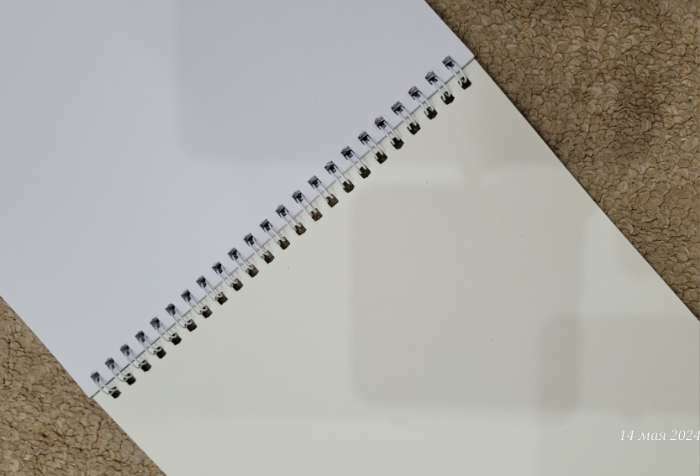 Фотография покупателя товара Альбом для рисования А4, 32 листа на гребне Calligrata, обложка мелованный картон, блок 100 г/м² - Фото 2