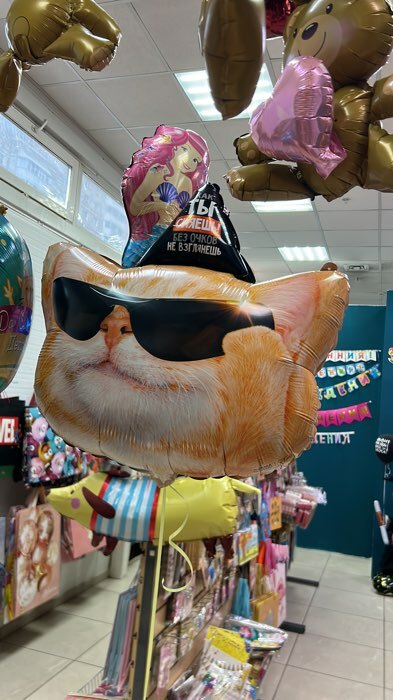 Фотография покупателя товара Воздушный шар фольгированный 24" «Ты сияешь», с подложкой - Фото 2