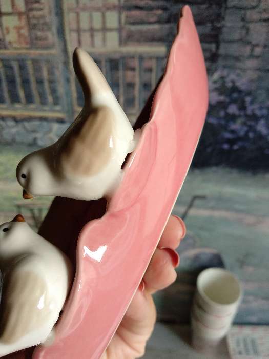 Фотография покупателя товара Блюдо керамическое «Птички на листочке», 21×8×5 см, цвет розовый - Фото 8